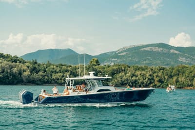 Galeb